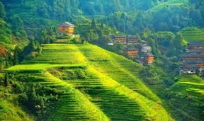 Kodaikanal Lake Boating