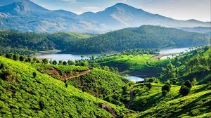 Munnar Tea Gardens